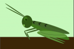 grasshopper-147235_640.png